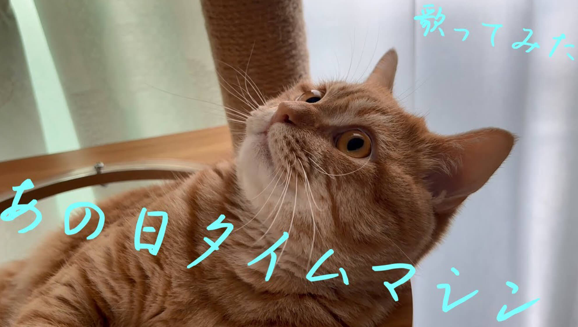 アツメル画像