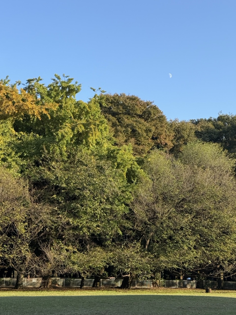 継続が上達の近道