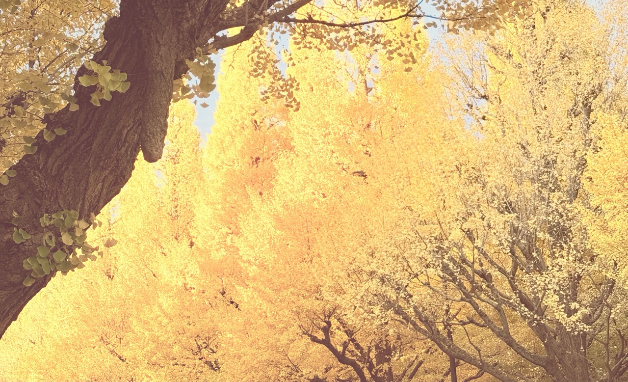 ゆるめてますか？