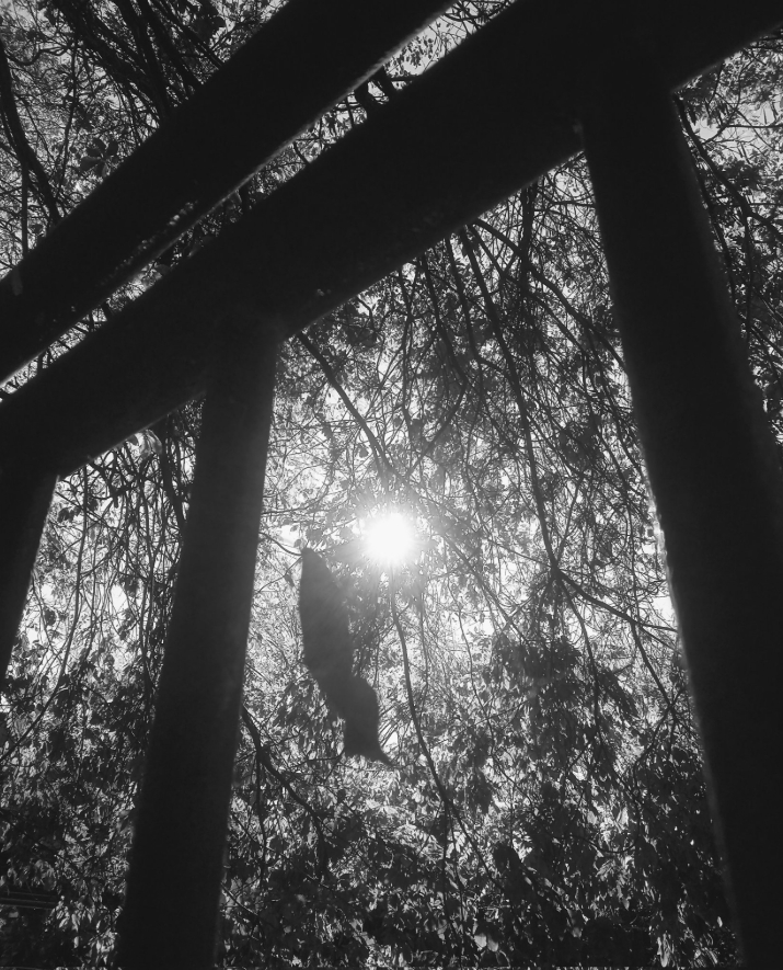 イラスト	影のつけ方